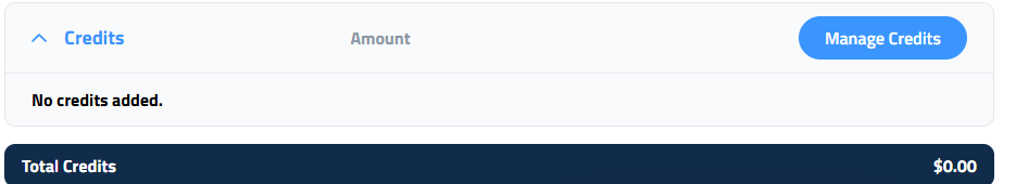 Figure 5: Credits and Total Credits on the Payment Summary.