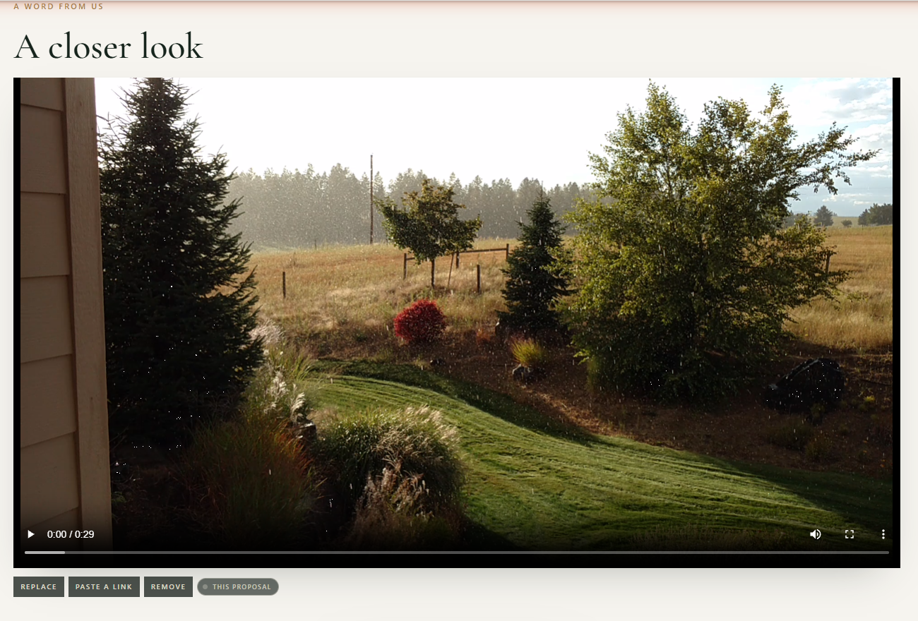 Figure 3: A video on the proposal, with Replace, Paste a link, Remove, and the All Proposals switch.